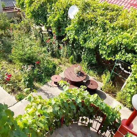 Casa Daria * Două Mai